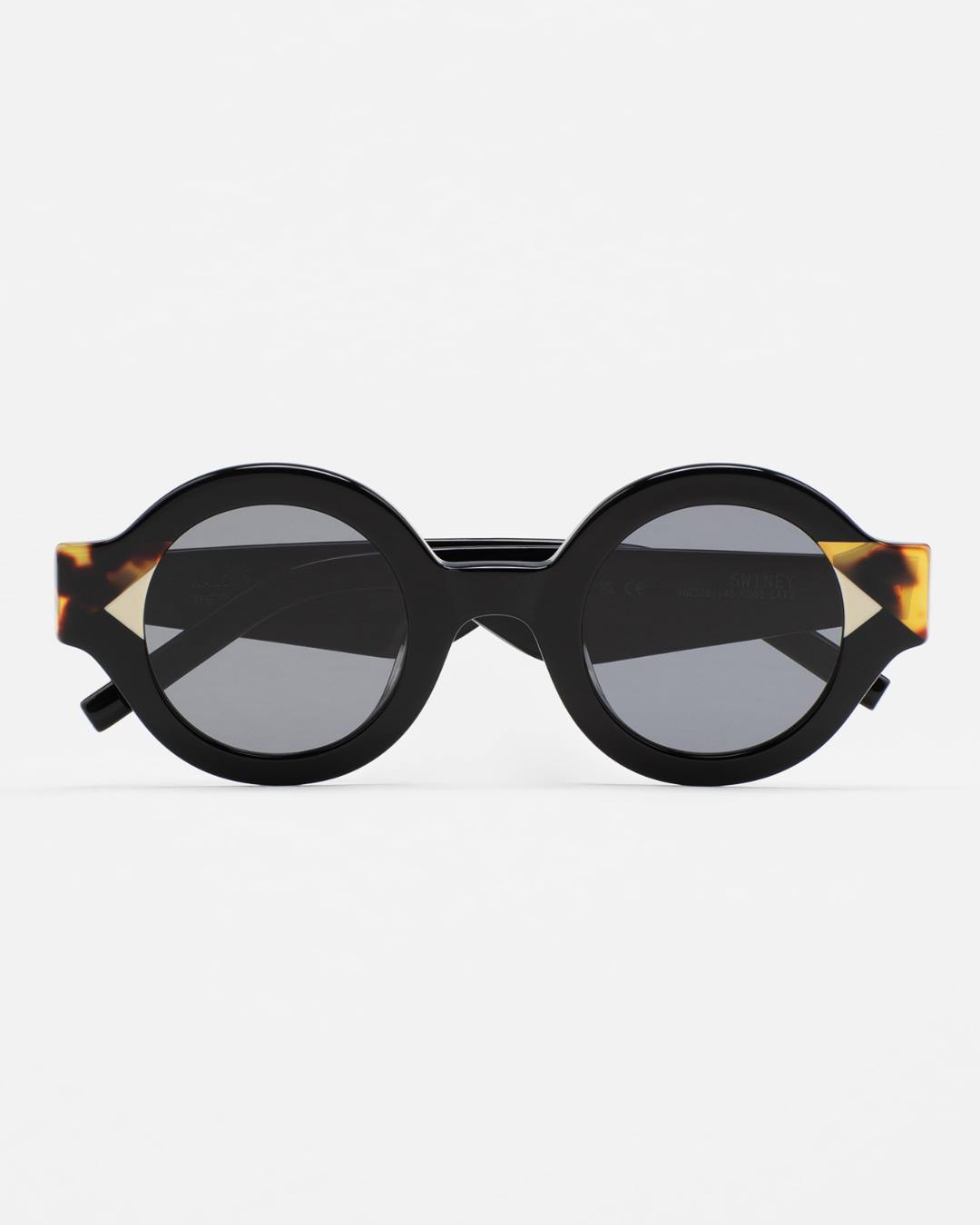 Óculos de Sol Hang Loose - Turtle - Black - MG3118-C2